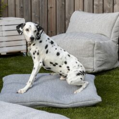 DogSeat – Bild 3